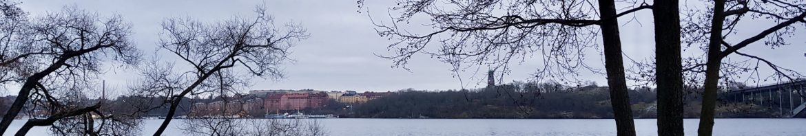Stockholm winterwalk by Ingemar Pongratz